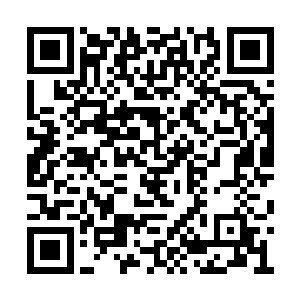 急速狂奔的费根狠狠地撞在了白袍柯林斯的身上二维码生成