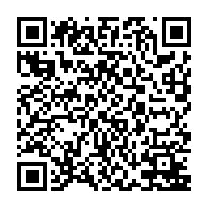 性情淡然的宁海第一校花无数男人心中的女神多少大家族想要结亲的仙子洛凌烟二维码生成