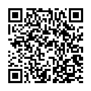 性质的特效在能力受限的噩梦难度剧本中作用也是不言而喻二维码生成