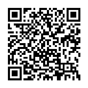 怪不得丁铃铛他们并没有在设置好前进基地之后二维码生成