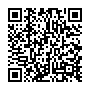 怪不得两年前在凤阳城中连斩几十名大圣师阶级的高手二维码生成