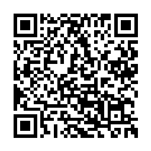 怪不得九方锦会说我见到了他孙女会改变观点了二维码生成