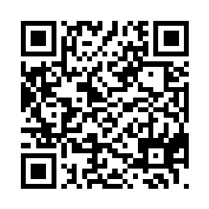 怪不得人家都说主任家的狗认礼不认人二维码生成