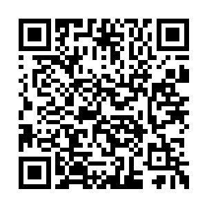 怪不得他凭借着一己之力能够让龙耀会威震明珠二维码生成