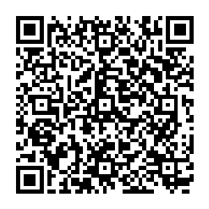 怪不得他的战斗力这么强原来他只差最后一步就能迈入十五星级阶级了成为名震海域的强者二维码生成