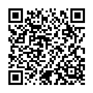 怪不得以你的能力明明有突破成为天仙天巫的机会二维码生成