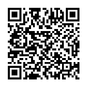 怪不得哥哥一口气买了六个lv连眼睛都不眨一下呢二维码生成