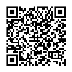 怪不得如此发难先前白家的那些长老只是回了那么几句二维码生成