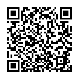 怪不得它没什么本事却一直对晋升不感兴趣……迷天兔族二维码生成