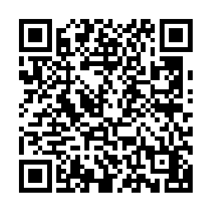 怪不得就连孔宣和金翅大鹏那两个杂毛鸟也在他们手上吃了憋二维码生成