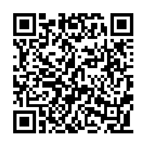 怪不得惠惠这几日在学堂休息间隙也不和咱们玩二维码生成
