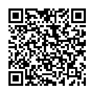 怪不得整座山峰都会沙化――在尸灵花的贪婪攫取下二维码生成