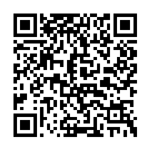 怪不得李大长老这么慷慨的将东西送给自己看呢二维码生成