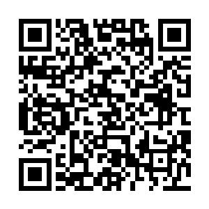 怪不得王府里的下人见了他一个个跟见了鬼似的怕的不行二维码生成