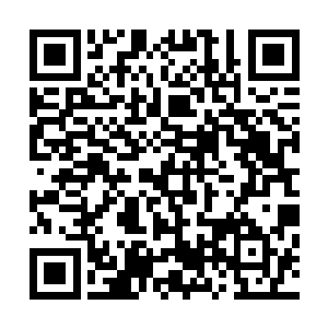 怪不得看起来好像没有自我意识但是实际上战斗却如此的强二维码生成