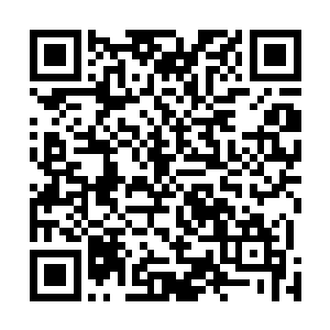 怪不得自己等人一路上遇到了很多的人族修士和妖族修士二维码生成