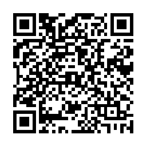 怪不得自己象群里的母象这几天总会发出低低的嚎叫声二维码生成