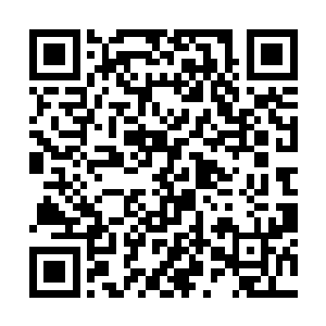 怪不得那些虚王三层境强者一个个都以炼化星辰本源二维码生成