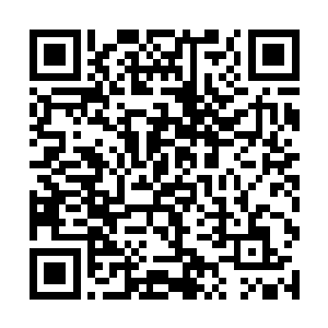 怪了……莫不是我机缘巧合之下又进入了什么宝地么二维码生成