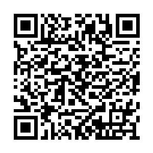 怪只能怪赵坤和赵铭两兄弟这是踢到了铁板上了二维码生成