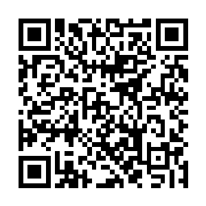 怪好看的真讨人喜欢……就跟围观笼子里面的怪物一样二维码生成