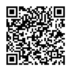 总不可能心急的现在就想魔宫老宫主将魔宫传给她二维码生成