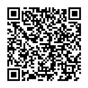 总不可能达芬奇隔着这么深的湖水站在湖外面还能够控制这机关吧二维码生成