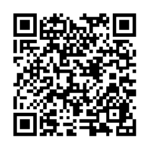 总不好在符神界四处张榜寻找当年符阵神的后人吧二维码生成
