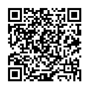 总不能只靠这点捕风捉影的事就给两个孩子的感情定性吧二维码生成