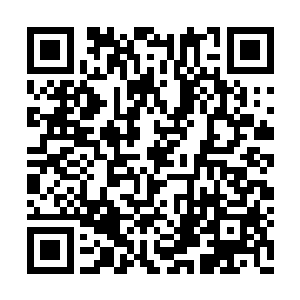 总不能够所有的一切都需要跟着农场的安排走吧二维码生成