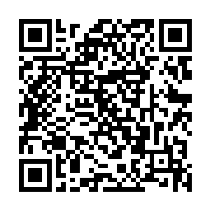 总不能让我们一干妖族看着你们悠然仙谷得到祖龙气运吧二维码生成