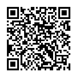总不能让王九九一个人把两个人应该跑的路全给跑完了二维码生成