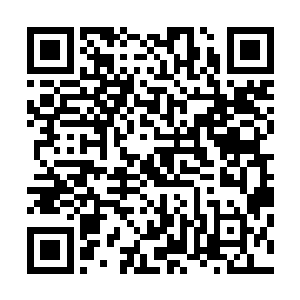 总不至于为了这样的小事情就屈尊来对付我们这些小人物吧二维码生成