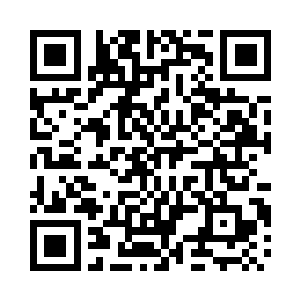 总不见得什么都没留下就被丛林吞噬了吧二维码生成