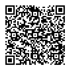 总之一时间网络上被这两个节目组突然发力弄出来的神秘学员跟嘉宾闹得沸沸扬扬二维码生成