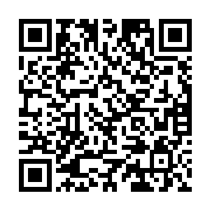 总之关于圣弃界的事情我已经一点不漏的告诉了你们二维码生成