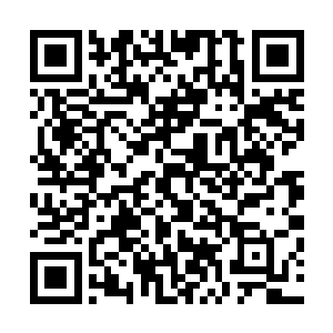 总之别让艾斯艾斯意识到这是专门针对他们的行动就可以了二维码生成