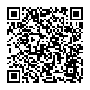总之原本在龙傲天眼中只需要几个时辰的路两个人足足走了一个多月二维码生成