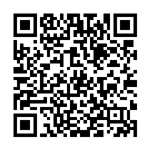 总之蜥蜴爬过之后各种沙粒演化的奇观崩溃坍塌还原二维码生成