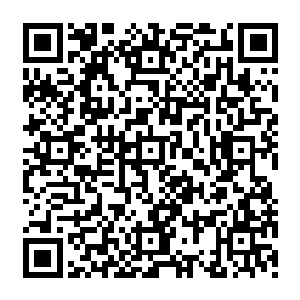 总之这一次的被拖到冥河之底的邪魔后裔也纷纷跟那四臂女子一样彻底的沉寂在了河底之下二维码生成