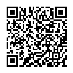 总之这个向来神出鬼没的准传奇巫师出现在原地二维码生成