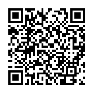 总之这丹却是比之前的渡厄金丹还要珍贵上许多倍二维码生成