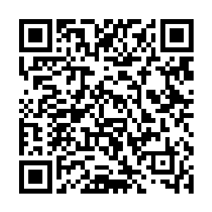 总也没办法硬生生把大家都不喜欢的东西塞给歌迷吧二维码生成