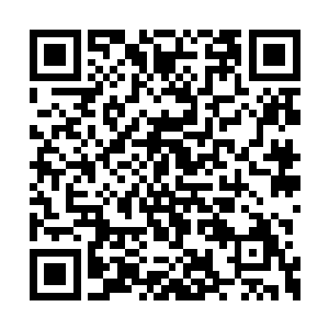 总会有一种让人很安心的守望的目光注视着自己二维码生成