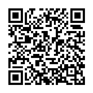 总会有一群和他年纪一般大的小伙伴们给他撑场叫好二维码生成