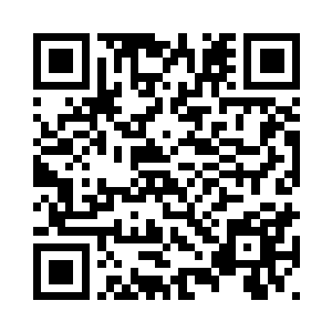 总会看到安东赛尔在等着迎接他们二维码生成