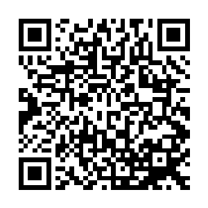 总共三颗悟道古茶树以及两颗紫云仙桃树便全部落入了他手中二维码生成