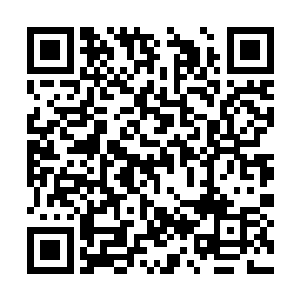 总共也只有不到十个宗门中的掌门和长老修为倔强二维码生成