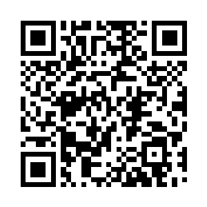 总共也就是米贾托维奇接了一次电话二维码生成