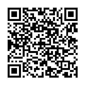 总共将近二十名实力达到源境的护法长老们汇集在这里二维码生成